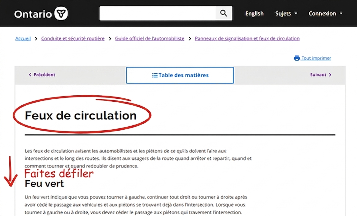 Page de contenu